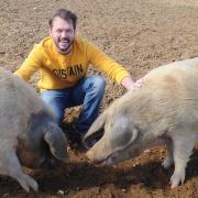 Jimmy Doherty has been on an international mission to rescue animals, but scammers have tainted the celebration