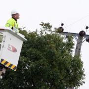 Hundreds of homes were without power on the outskirts in Ipswich