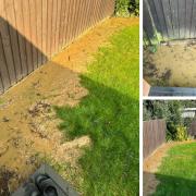Sewage has flooded an Ipswich garden