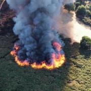 Funding needed to restore Rushmere grassland after summer fires, Ashley Jackaman