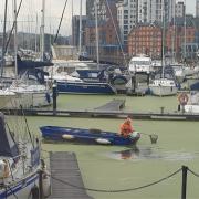 Ipswich Dock and Waterfront has turned green