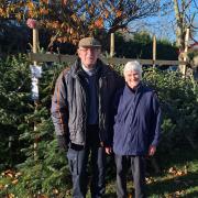 Ian and Wendy May are selling Christmas Trees from Venue 16.
