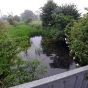 The River Gipping (file photo)