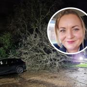 The falling tree narrowly missed Barham-based community nurse Tracy Chapman.