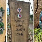 An Enchanted Tree Trail will be launching in Rushmere St Andrew on Saturday, and excitement has not been dampened despite the efforts of three vandals. Images: Jason Alexander