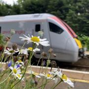 Greater Anglia has announced a load of discounts on train tickets between Ipswich and London