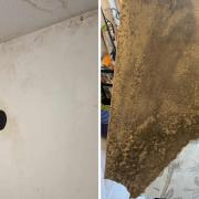 Mould is impacting a flat in Ipswich as kids have fallen ill and have respiratory issues because of it