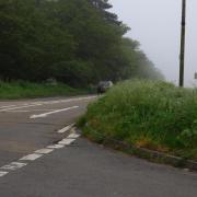 Long grass causing a blind junction at Foxhall Road is has been likened to "Russian roulette".