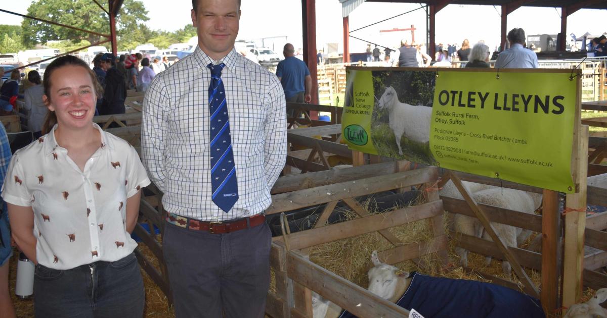 Ewe won’t believe it! Suffolk New College’s show-stopping showcase