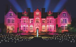 Spectacle of Light at Haughley Park which is returning for Valentine's in February 2022