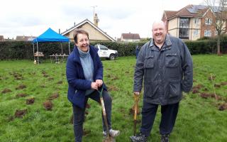 The event saw 300 trees planted in Whitehouse Park in Ipswich