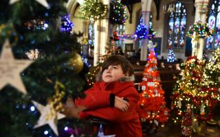 The Ipswich Christmas Tree Festival returns to St Mary le Tower on November 30