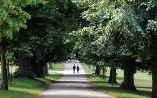 Christchurch Park has been named as one of the best free parks to take your kids to
