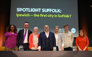 A panel chaired by well-known Ipswich resident Omid Djalili has urged town residents to put aside politics and unite behind a future city bid