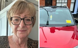 Alison Stephenson was fined £25 despite paying for parking, but for the wrong car.