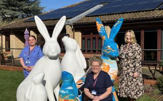 Suffolk will be overrun by hares in summer 2025 as the St Elizabeth Hospice Art Trail has been announced